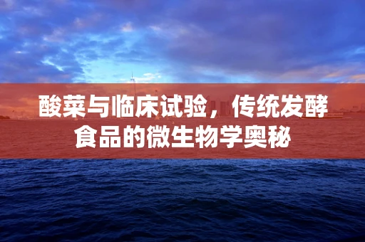 酸菜与临床试验，传统发酵食品的微生物学奥秘