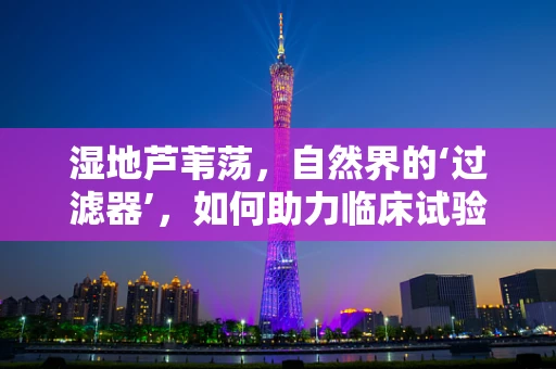 湿地芦苇荡，自然界的‘过滤器’，如何助力临床试验样本的生态净化？