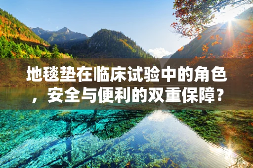 地毯垫在临床试验中的角色，安全与便利的双重保障？