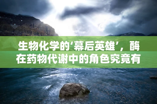生物化学的‘幕后英雄’，酶在药物代谢中的角色究竟有多关键？