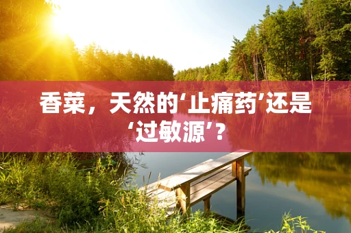 香菜，天然的‘止痛药’还是‘过敏源’？