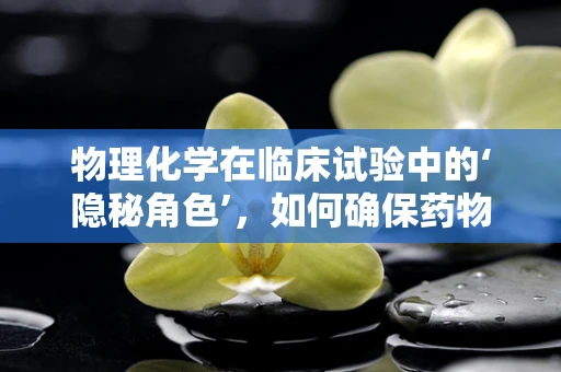 物理化学在临床试验中的‘隐秘角色’，如何确保药物稳定与安全？
