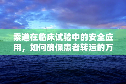 索道在临床试验中的安全应用，如何确保患者转运的万无一失？