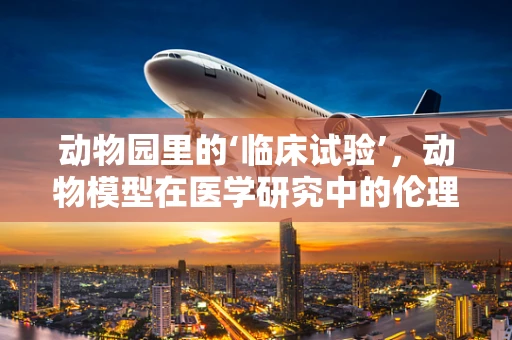 动物园里的‘临床试验’，动物模型在医学研究中的伦理边界