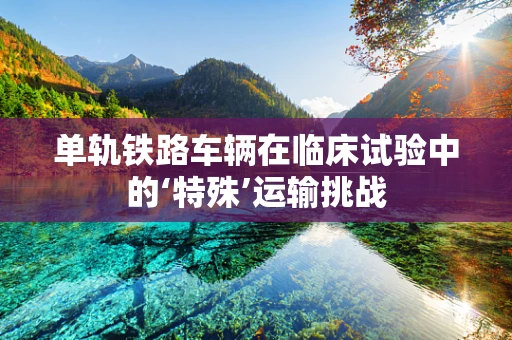单轨铁路车辆在临床试验中的‘特殊’运输挑战