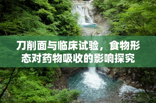 刀削面与临床试验，食物形态对药物吸收的影响探究