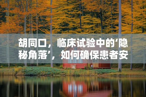 胡同口，临床试验中的‘隐秘角落’，如何确保患者安全与隐私？