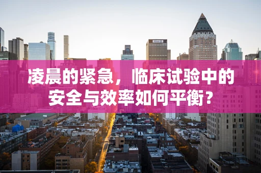 凌晨的紧急，临床试验中的安全与效率如何平衡？