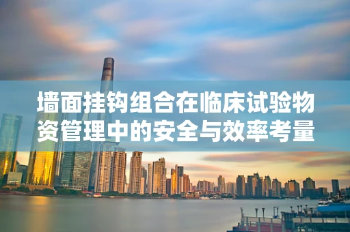 墙面挂钩组合在临床试验物资管理中的安全与效率考量
