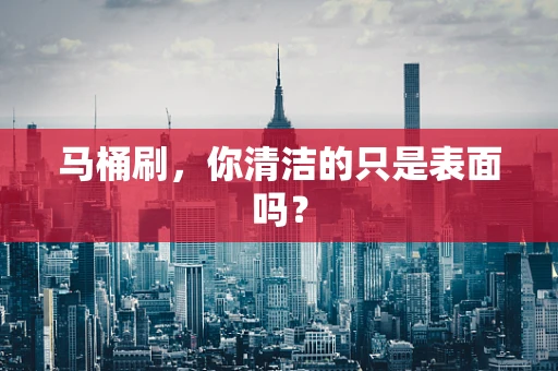 马桶刷，你清洁的只是表面吗？