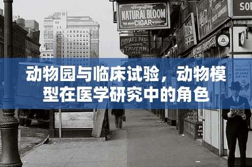 动物园与临床试验，动物模型在医学研究中的角色