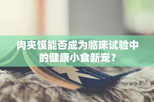 肉夹馍能否成为临床试验中的健康小食新宠？