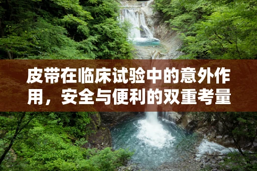 皮带在临床试验中的意外作用，安全与便利的双重考量