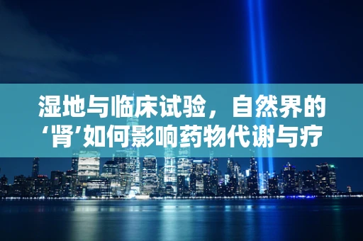 湿地与临床试验，自然界的‘肾’如何影响药物代谢与疗效？