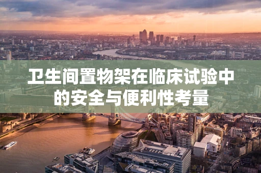 卫生间置物架在临床试验中的安全与便利性考量