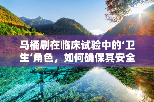 马桶刷在临床试验中的‘卫生’角色，如何确保其安全与清洁？