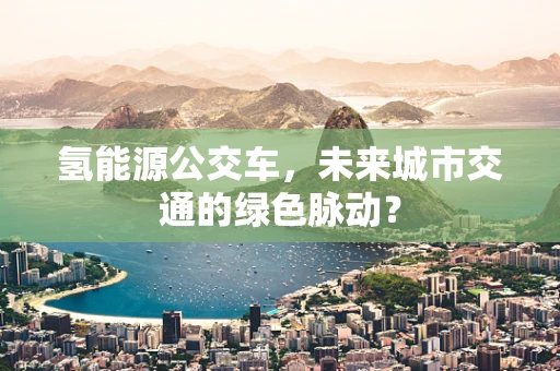 氢能源公交车，未来城市交通的绿色脉动？