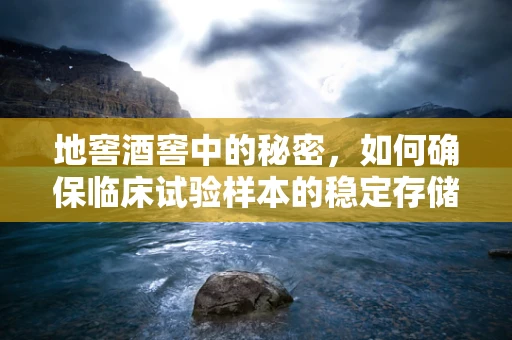 地窖酒窖中的秘密，如何确保临床试验样本的稳定存储？