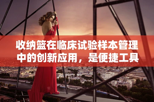 收纳篮在临床试验样本管理中的创新应用，是便捷工具还是潜在风险源？