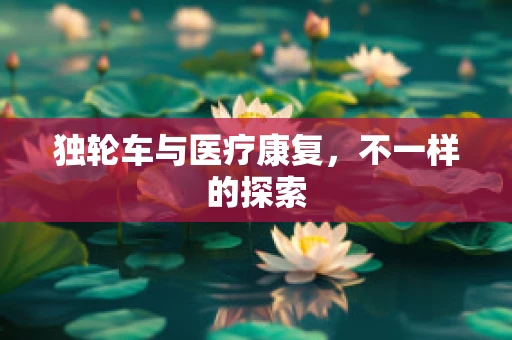 独轮车与医疗康复，不一样的探索