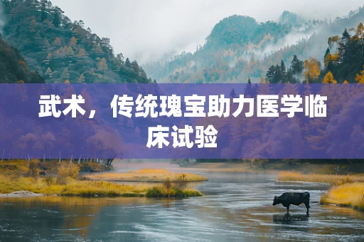 武术，传统瑰宝助力医学临床试验