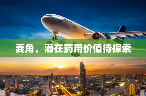 菱角，潜在药用价值待探索