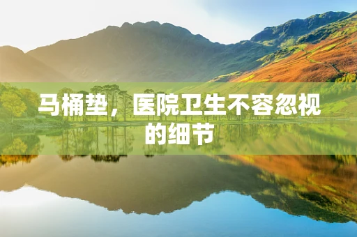 马桶垫，医院卫生不容忽视的细节
