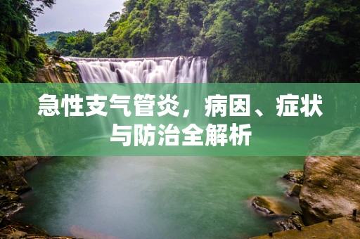 急性支气管炎，病因、症状与防治全解析