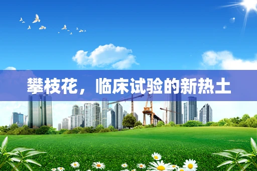 攀枝花，临床试验的新热土
