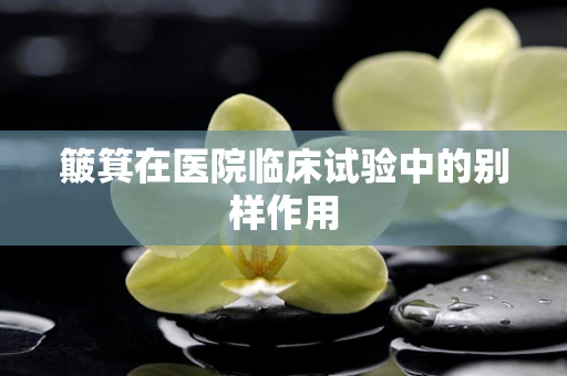 簸箕在医院临床试验中的别样作用