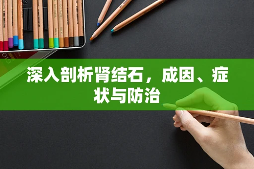 深入剖析肾结石，成因、症状与防治