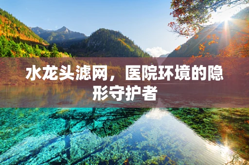 水龙头滤网，医院环境的隐形守护者