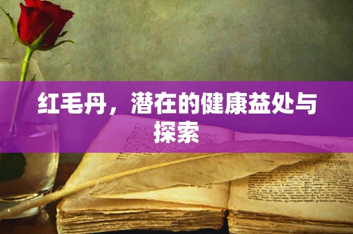 红毛丹，潜在的健康益处与探索