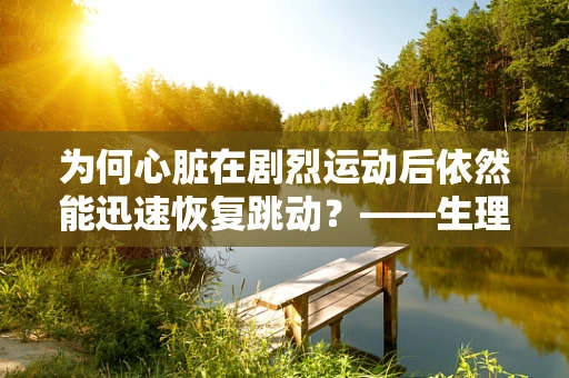 为何心脏在剧烈运动后依然能迅速恢复跳动？——生理学视角下的心脏调节机制
