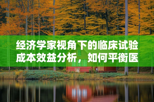 经济学家视角下的临床试验成本效益分析，如何平衡医疗创新与经济负担？