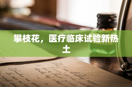 攀枝花，医疗临床试验新热土