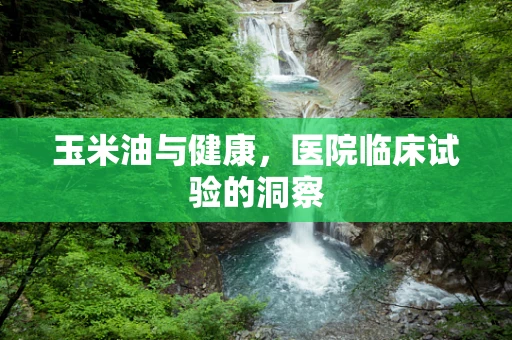 玉米油与健康，医院临床试验的洞察