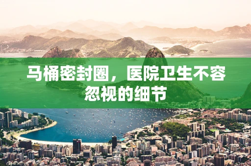 马桶密封圈，医院卫生不容忽视的细节