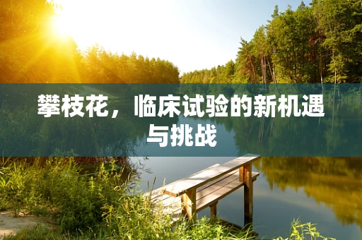 攀枝花，临床试验的新机遇与挑战