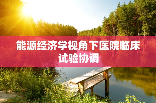 能源经济学视角下医院临床试验协调