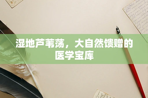 湿地芦苇荡，大自然馈赠的医学宝库