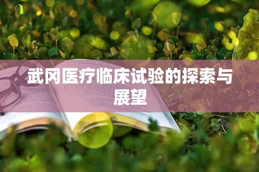 武冈医疗临床试验的探索与展望