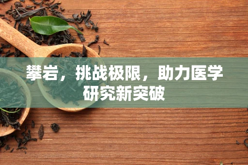 攀岩，挑战极限，助力医学研究新突破