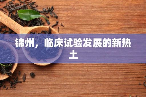 锦州，临床试验发展的新热土