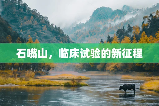 石嘴山，临床试验的新征程