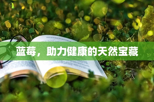 蓝莓，助力健康的天然宝藏