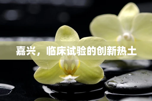 嘉兴，临床试验的创新热土