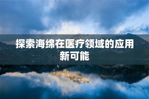 探索海绵在医疗领域的应用新可能