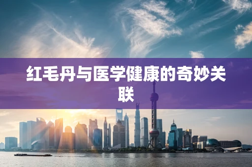 红毛丹与医学健康的奇妙关联