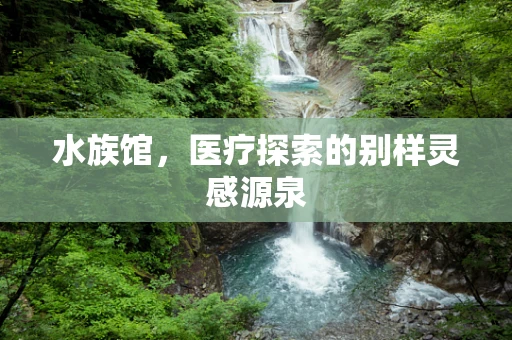 水族馆，医疗探索的别样灵感源泉